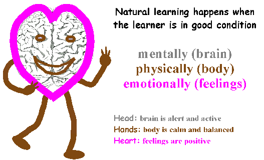 Natty, the natural learner
